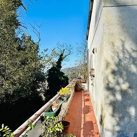 Pastenau Apartament *